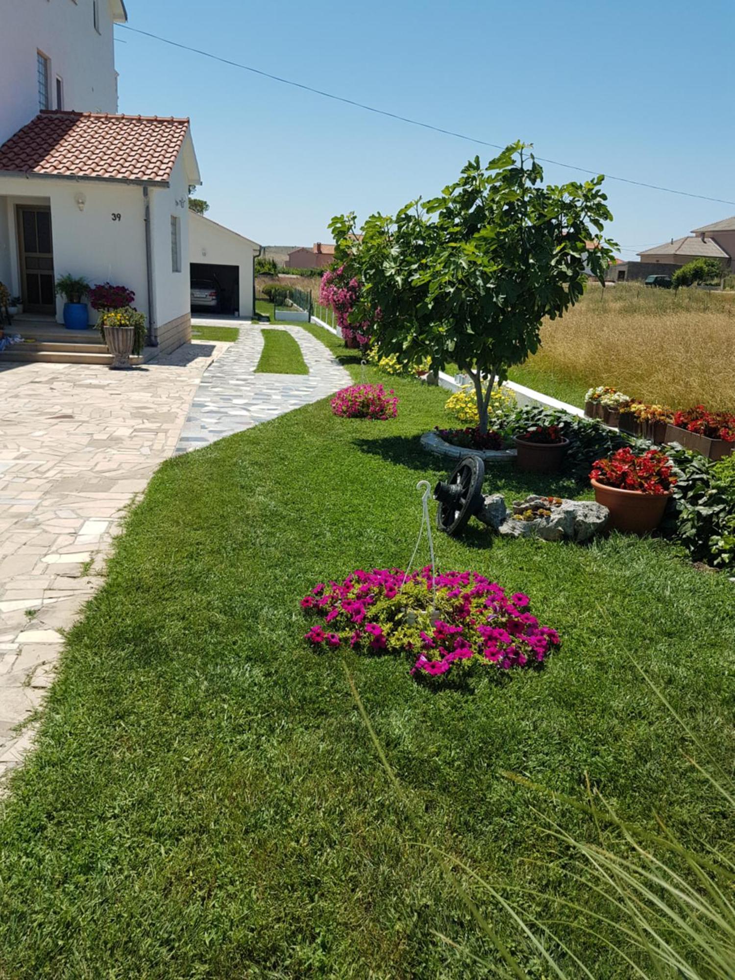 Apartments Smilja Ljubač Kültér fotó